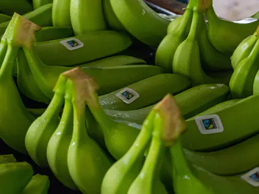Fairtrade官方®中国澳洲体彩幸运5网站 bananas